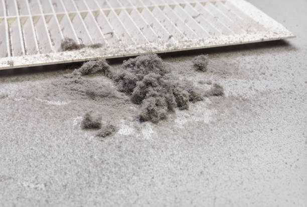 Best Affordable Duct Cleaning Services  in Mabscott, WV