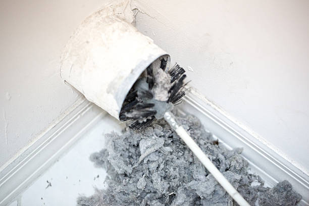 Best Professional Duct Cleaning Services  in Mabscott, WV